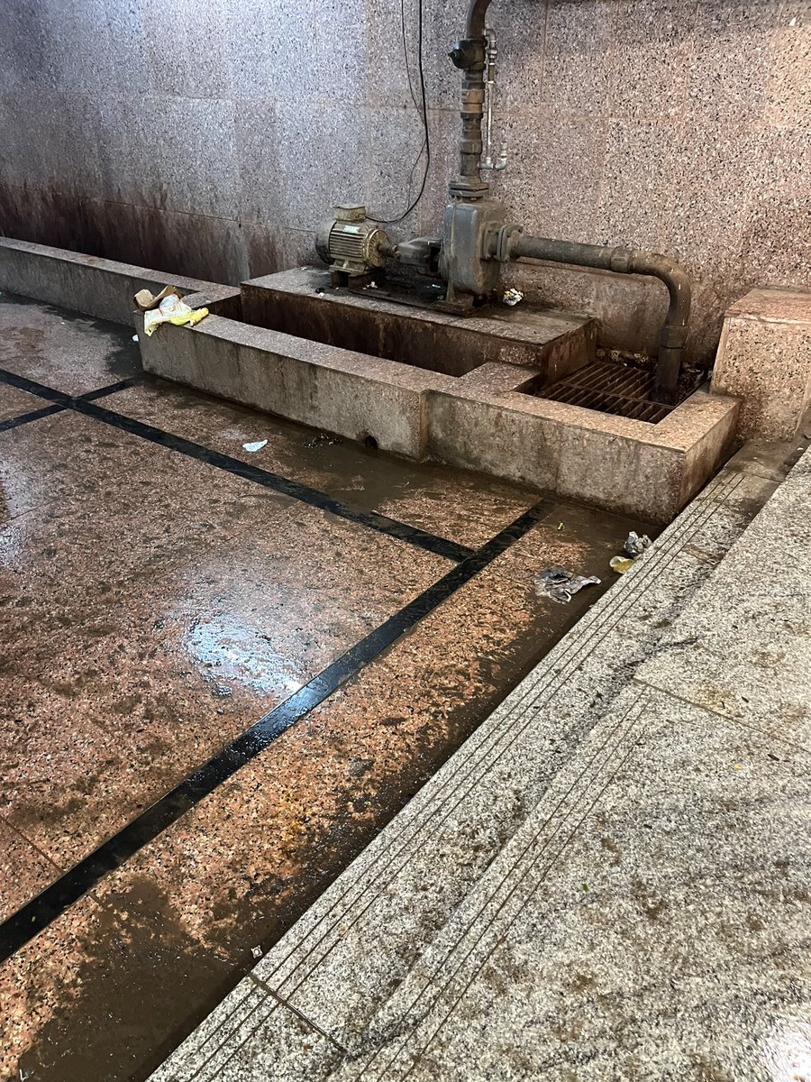 Niyati Mankad tweet media