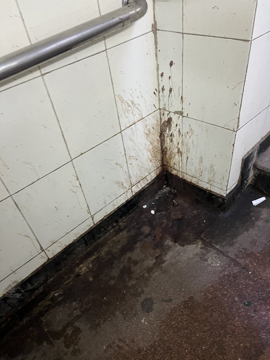 Niyati Mankad tweet media