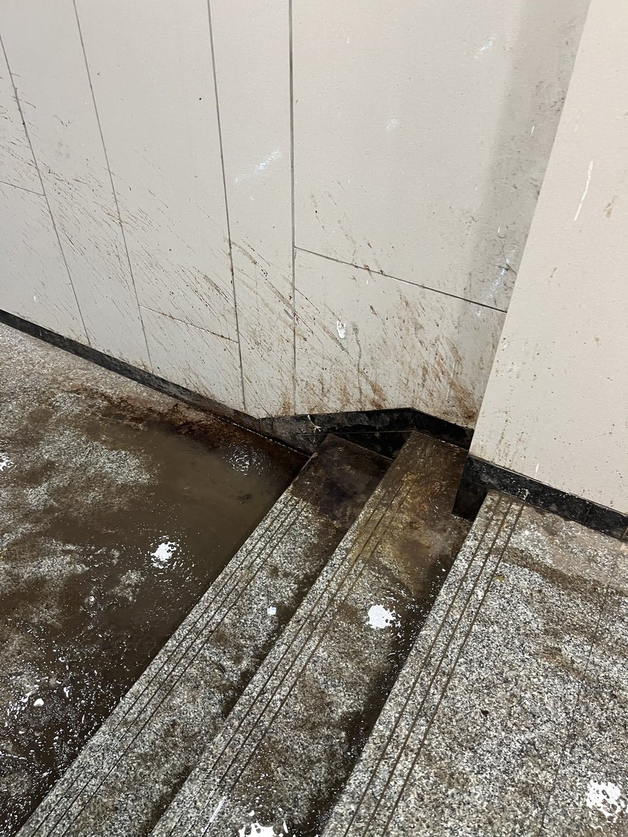 Niyati Mankad tweet media