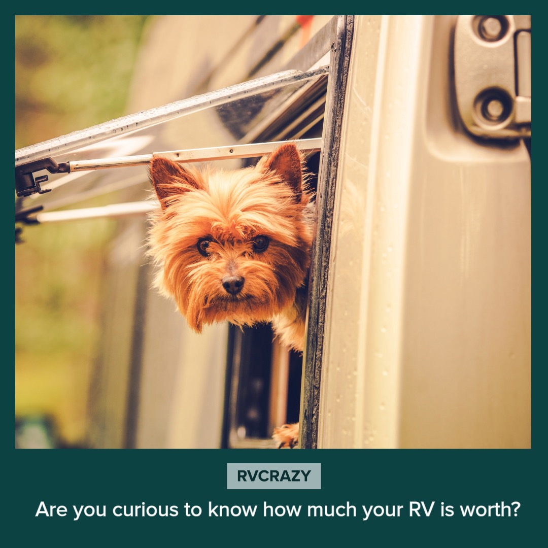 RvCrazy's tweet photo. Discover your RV's true value in seconds. It's easy – just click the link!

➖➖
🔗 https://t.co/vaB9huTn4v
➖➖
.
.
.
#Rvers #Rvs #RVValue #RVValuation #RVs #ValuationTool #RVPricingTool
#RVers #RVlifestyle #goRVing #RVliving #RVing #RVValues https://t.co/aaYPWeL8bI