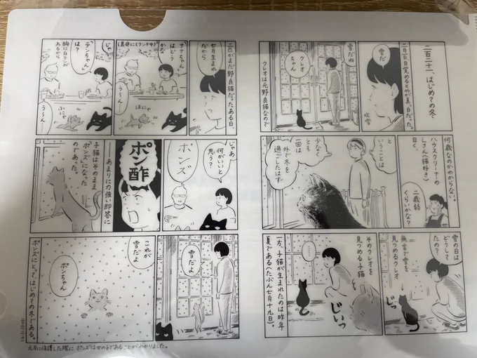 浅草の「BOOK MARKET 2024」にお邪魔しました( ˇωˇ )
素敵なものにいっぱい出会った… 