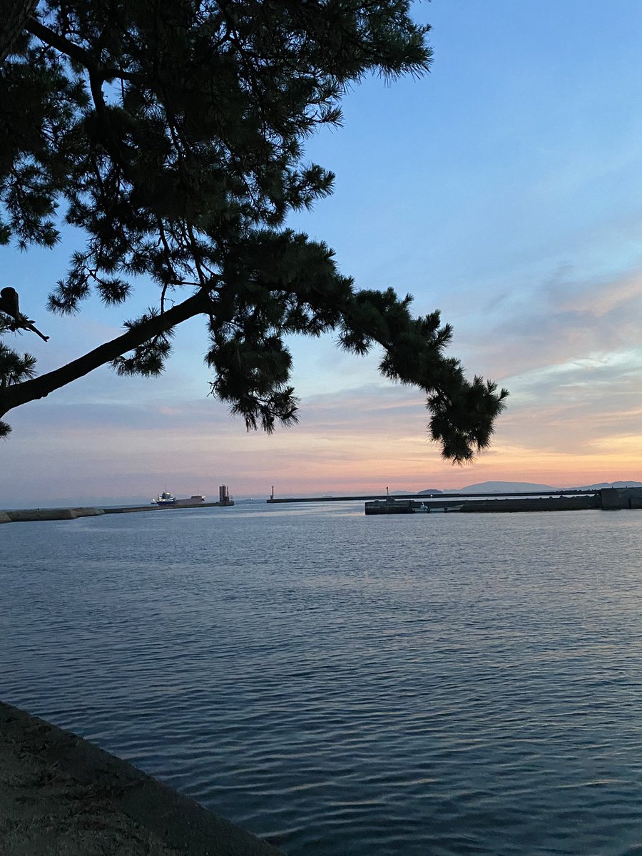 RzY0r's tweet photo. 松右衛門が修築した高砂港は、213年前と変わらない、綺麗な夕陽が楽しめる。 https://t.co/Jhp2xcIdws