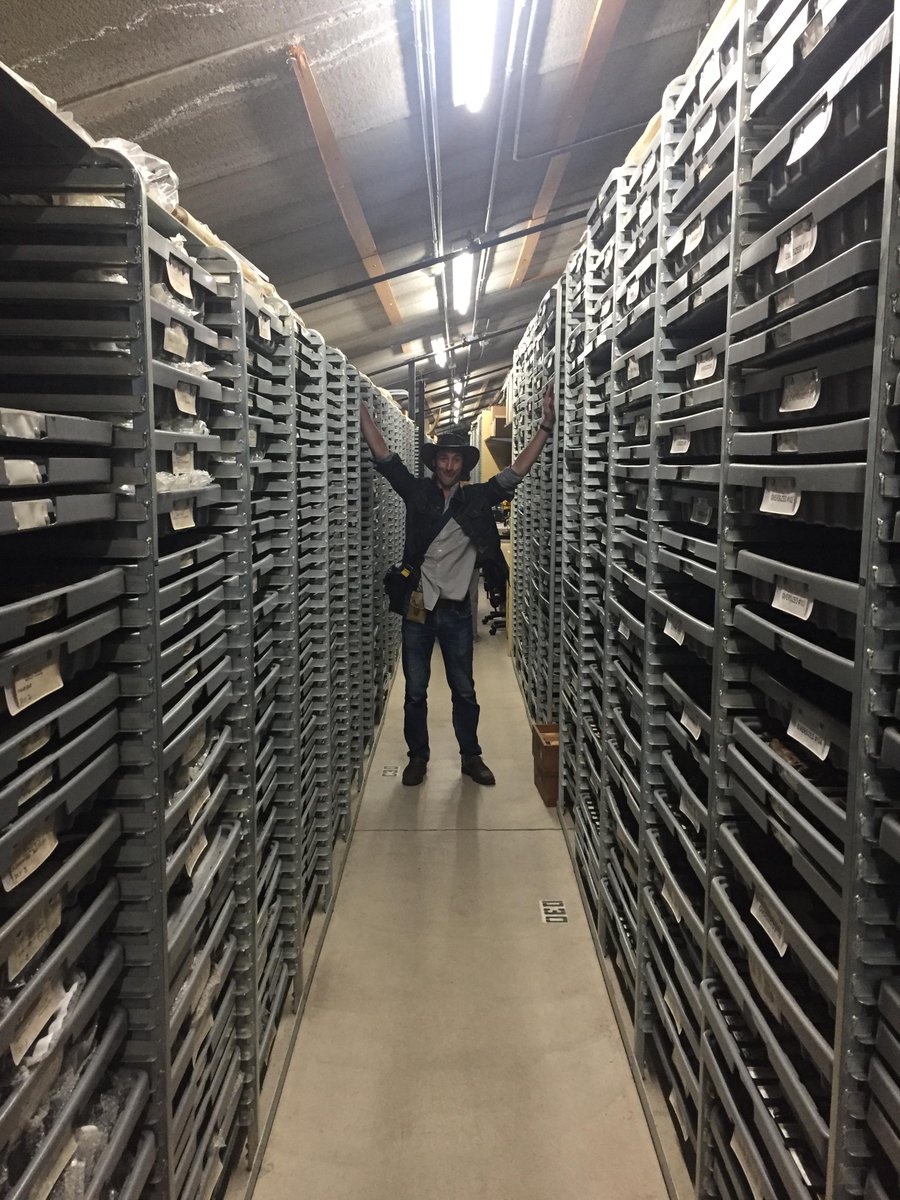 DimitriAventure's tweet photo. Grâce à Antoine Bercovici voici une série sur les collections du Museum de Rancho la Brea. Le pied total ! Vous n'avez pas idée
#losangeles #labreamuseum #labreatarpits #paleontologie #fossil https://t.co/p2zdBrtr0G