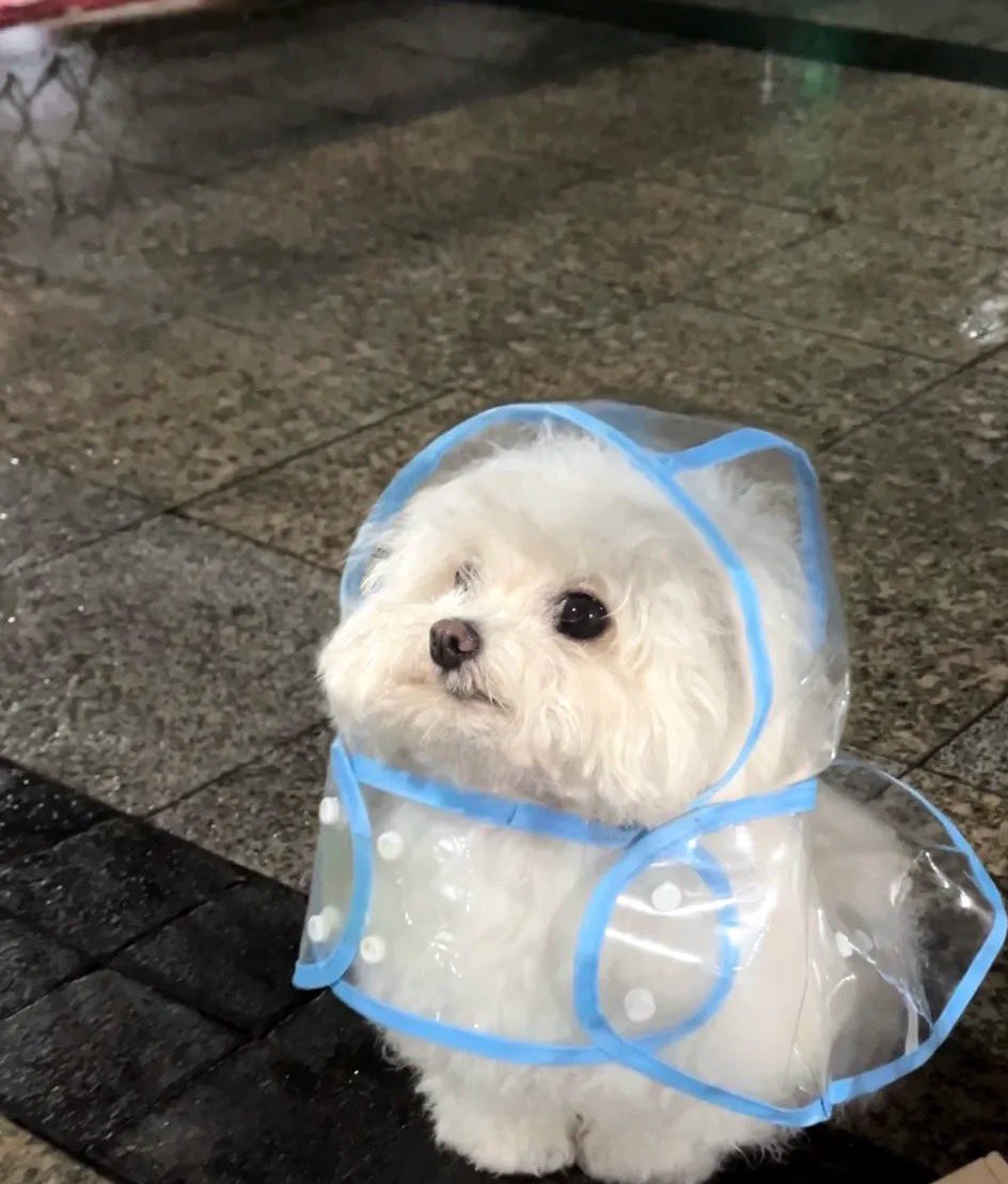 minwonshu's tweet photo. ☔️🌧️ https://t.co/aEfyWBRI4U