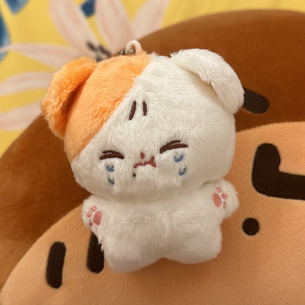 wtbparks's tweet photo. received dumplingsung already! 🥹 thank you so much @jwiscart #fromjwi 🧡🐹 https://t.co/CdvmBVQtGn