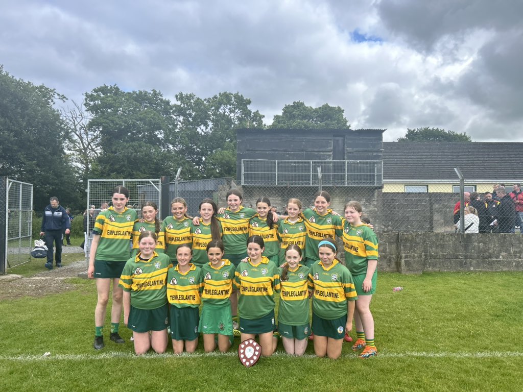 Limerick Camogie tweet media