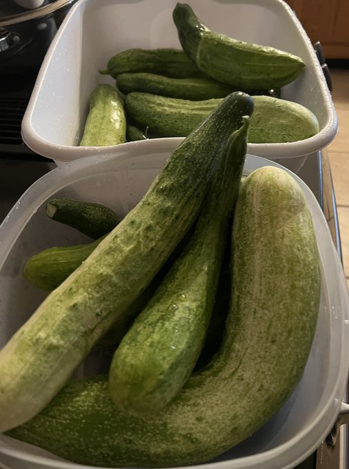 Garden is poppin!!! https://t.co/74f3dGTtEH<a href="/tag/gym"class="tags"><span>#gym</span></a><a href="/tag/gymtime"class="tags"><span>#gymtime</span></a><a href="/tag/booty"class="tags"><span>#booty</span></a><a href="/tag/legs"class="tags"><span>#legs</span></a>