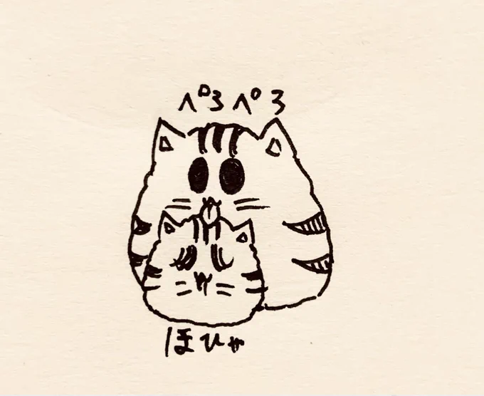 ミニ虎さんをぺろぺろするもち虎さん🐯🐯 