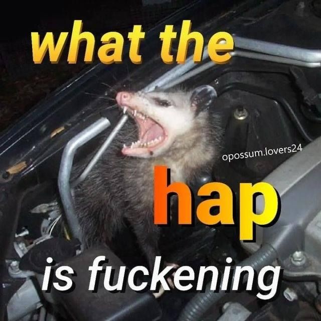 DeathPoss's tweet photo. https://t.co/i0gyhmpDNv