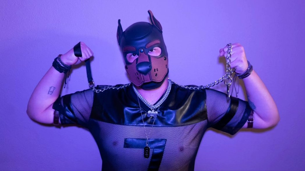 PupNova2's tweet photo. I'm your puppy's favorite puppy 🐶🐾💜 https://t.co/kvtYwHCR6N