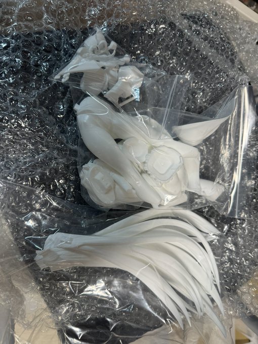 ジェーン・ドゥ、版権許諾いただけました!版元様ありがとうございます