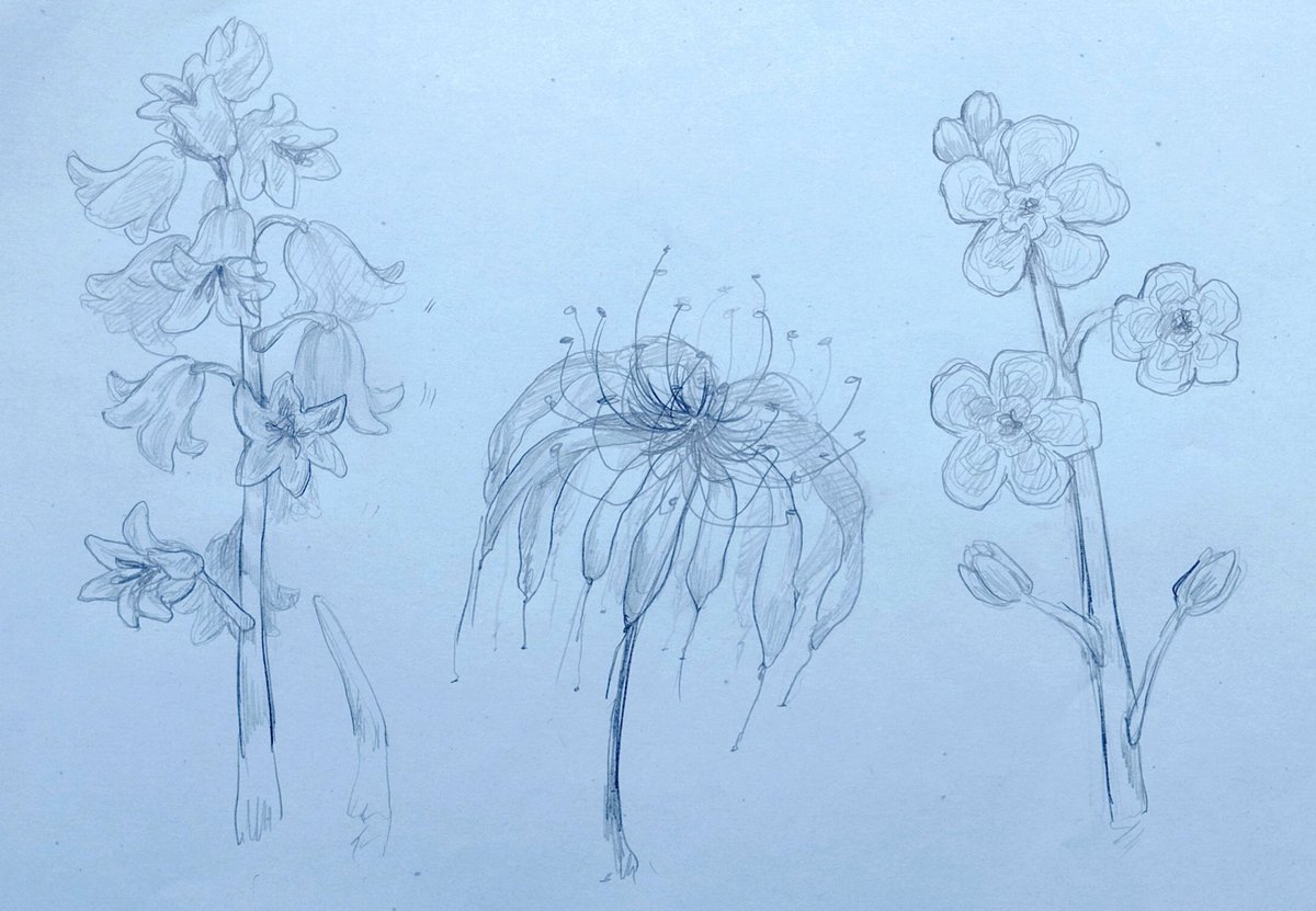 FanetteLiz's tweet photo. Étude de fleurs 🌺 https://t.co/6wIrq3XffD