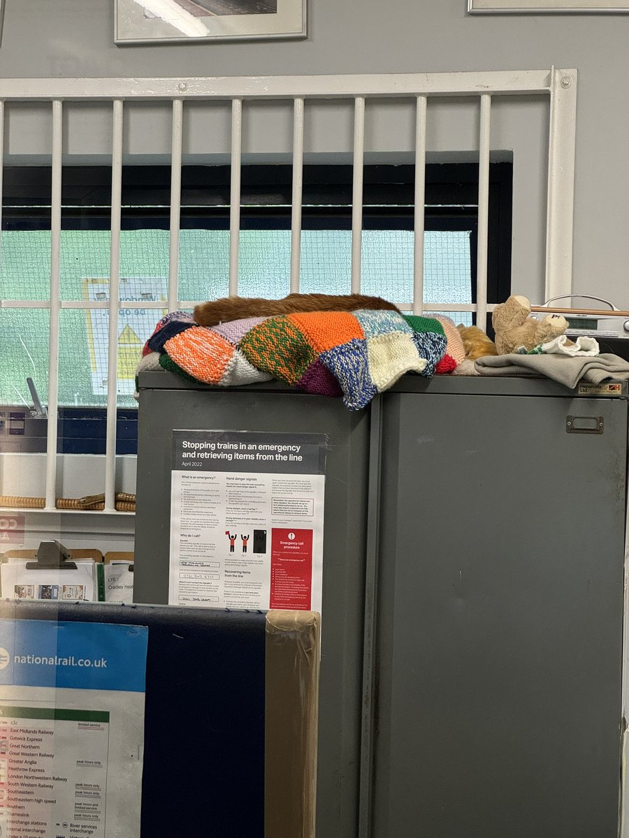 Psi50's tweet image. Dear George @TheStourbridge we came to see you but you were asleep!