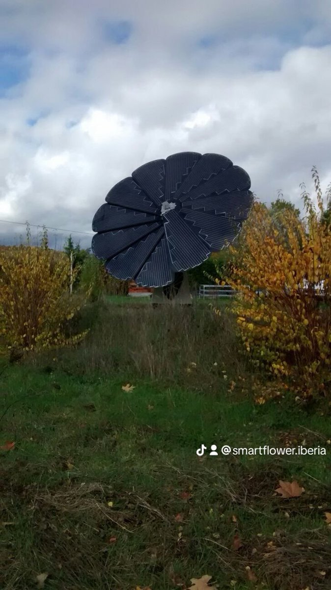 En una sociedad donde los consumidores más de decantan por empresas responsables con el #medioambiente, Smartflower te ofrece una solución diferenciadora, innovadora e inteligente.