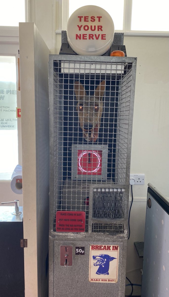 JP Devlin tweet media