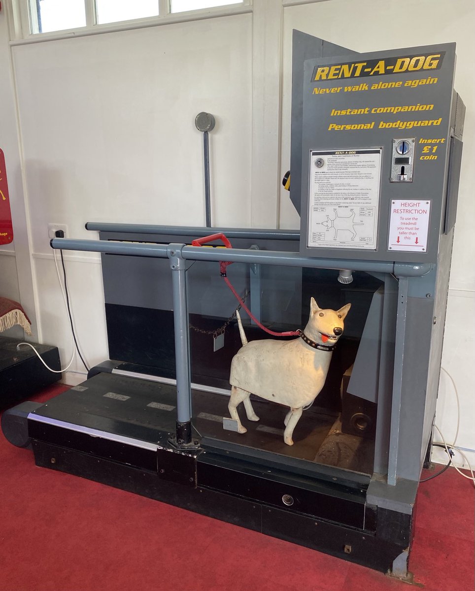 JP Devlin tweet media