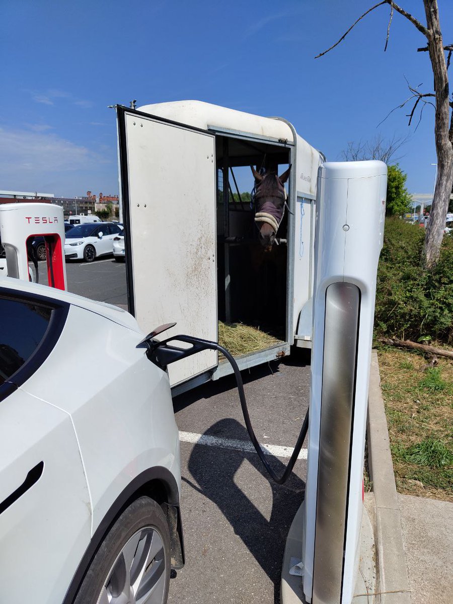 Benjamin Schönfeld Photography tweet media