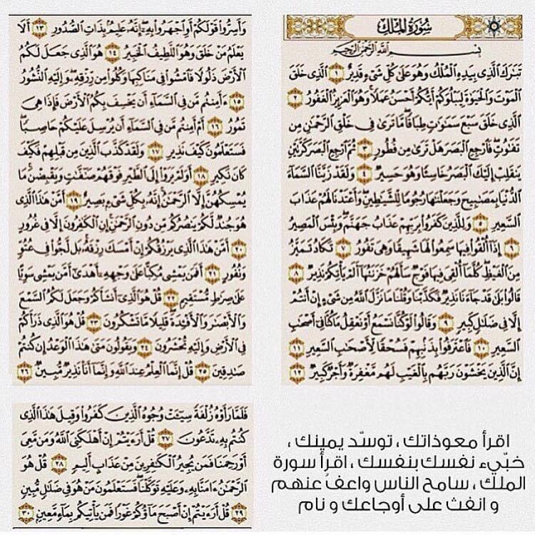 layan_alsofiani's tweet photo. https://t.co/l1MgpGUFd7
