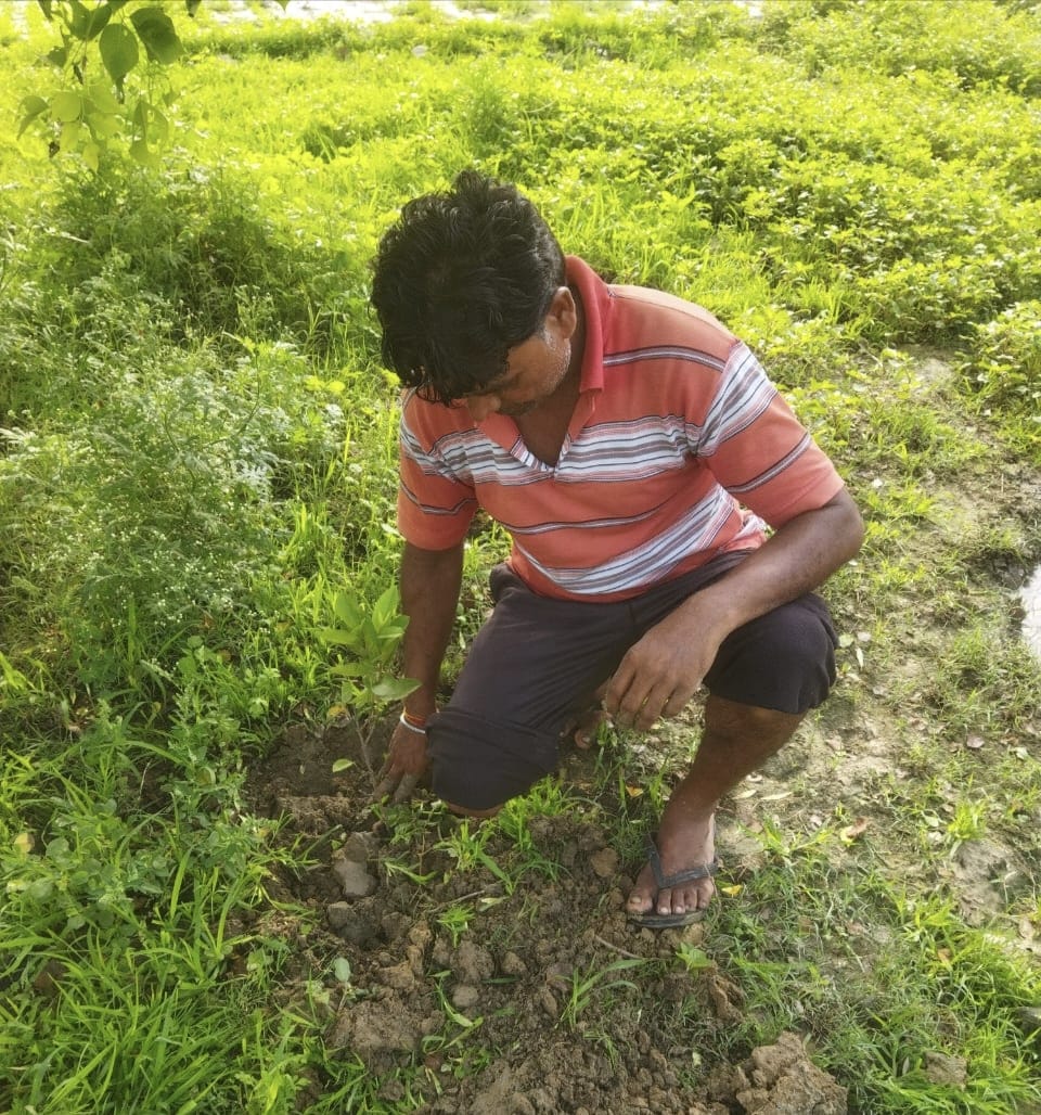 npdaurala's tweet photo. नगर पंचायत दौराला मेरठ।
यू0एल0बी0 कोडः- 800708
आज दिनांक 20.07.2024 को शासन के आदेशानुसार ए0डी0एम0(प्रशासन) श्री बलराम सिंह  एवं नगर पंचायत दौराला के अध्यक्ष श्री देवेन्द्र पाल सिंह एवं अधिशासी अधिकारी श्री करिश्मा सिंह, एवं ब्रांड एंबेसडर डॉ0 नीरा तोमर (एस0बी0एम0) https://t.co/5h0brq52gi