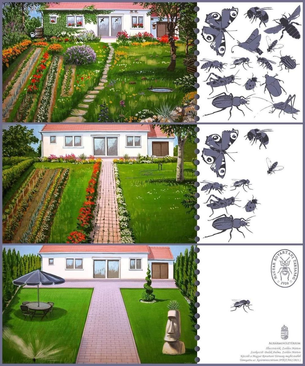 InferamAI's tweet photo. Biodiversity in the garden https://t.co/zkTmPM6g6l