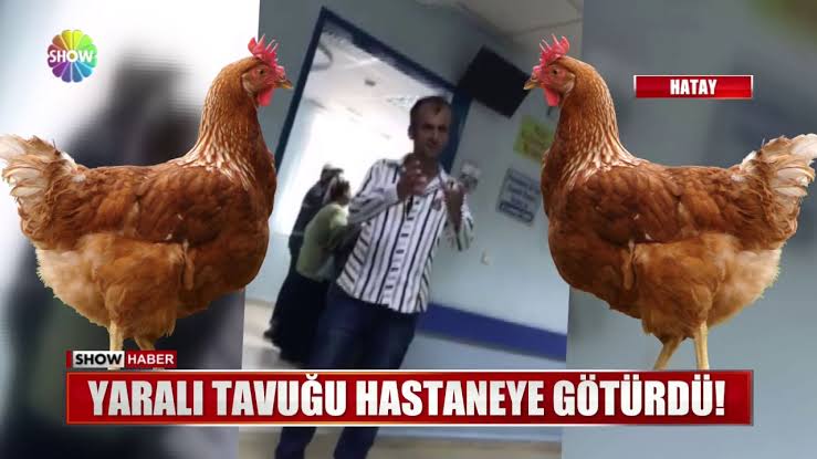 demirs60's tweet photo. Tavuğa pansuman yapmayan sağlıkçılar ve bize Leyla çalmayan Pinhani.. Yatacak yeriniz yok yatacak yeriniz 😃 https://t.co/tptBsZtbAo
