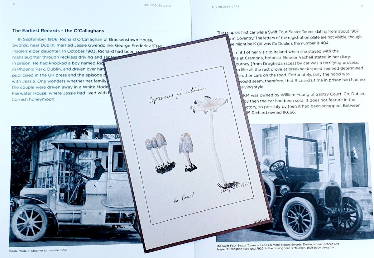 c_duigan's tweet photo. A shared heritage - the botanical legacy & early #motorcar experiences of Welsh botanist Jessie Insole #Cardiff & her Irish husband Richard O'Callaghan #Swords #Dublin - #herbarium @Museum_Cardiff @CardiffCurator #IrelandWales #Ireland #Wales See paper: https://t.co/rrUHyAuVdX https://t.co/3YD4YLR8F9