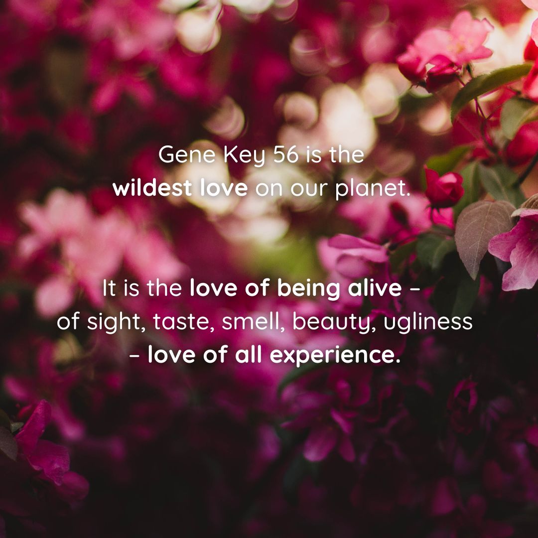 gene_keys's tweet photo. Visit the Oracle Generator and discover which form of love invites you today. Dedicate at least a full day to embodying this form of love in your life.
Which love chooses you? ๐บ ๐น ๐ท Visit https://t.co/MiuAe5IAnV
#genekeys #love #venussequence #devotion #thepulse #genekey56 https://t.co/QsMtIqpbtY