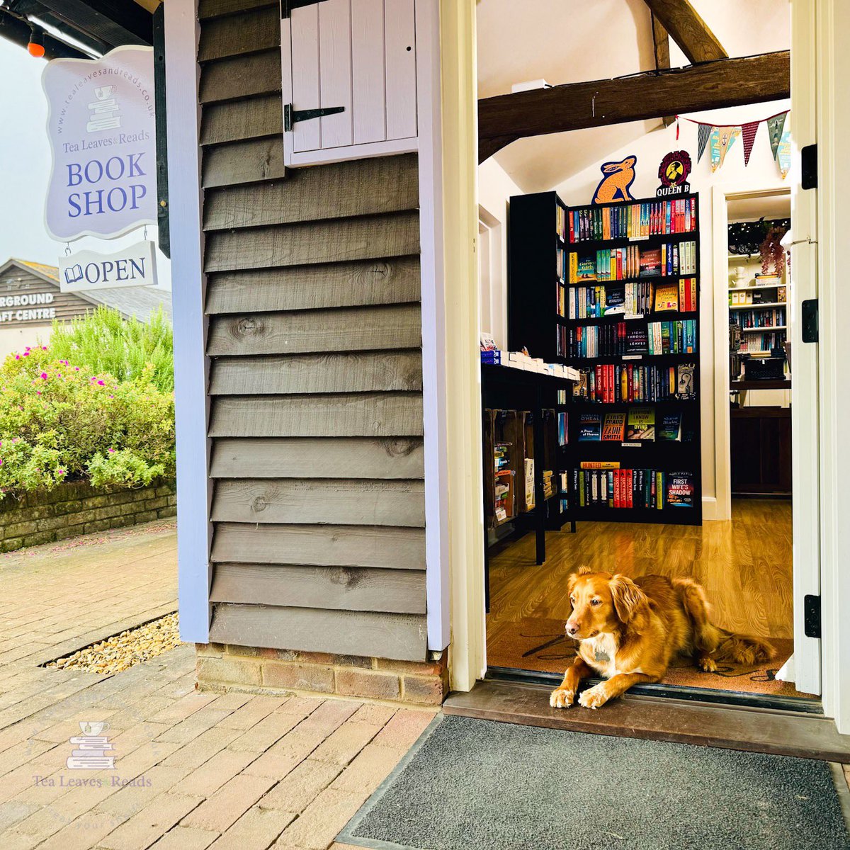 TeaLeaves_Reads's tweet photo. The #bookshop is open! We have lots of fabulous titles and gifts, you can purchase #event tickets that just launched, there’s a sneak peek at the giveaway box we just launched too, and the #bookshopdog is in residence! What a Saturday! https://t.co/UTxcpmmF9w