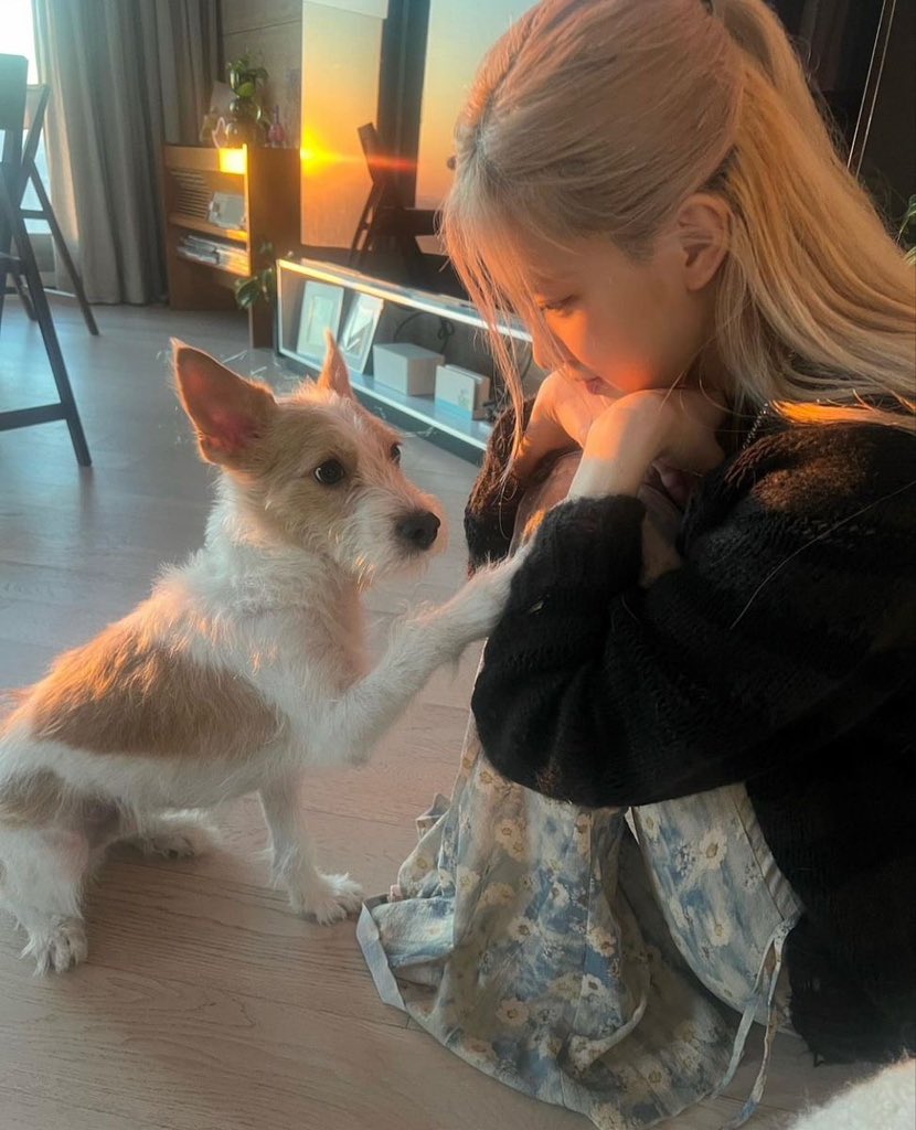 yerimoise's tweet photo. 5. her kind and gentle heart is the main reason why she deserves all the love in this whole wide world! 💖 https://t.co/2wVt6jmcd4