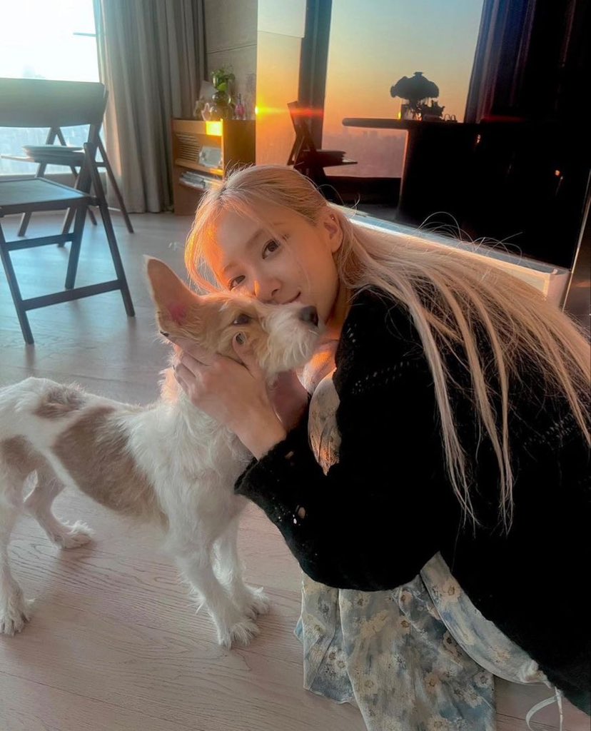 yerimoise's tweet photo. 5. her kind and gentle heart is the main reason why she deserves all the love in this whole wide world! 💖 https://t.co/2wVt6jmcd4
