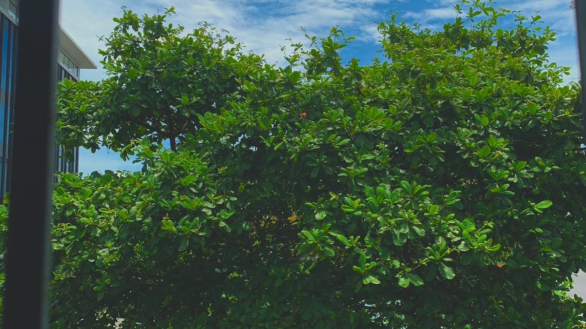 Phạm Dung (@kem140619) on Twitter photo 