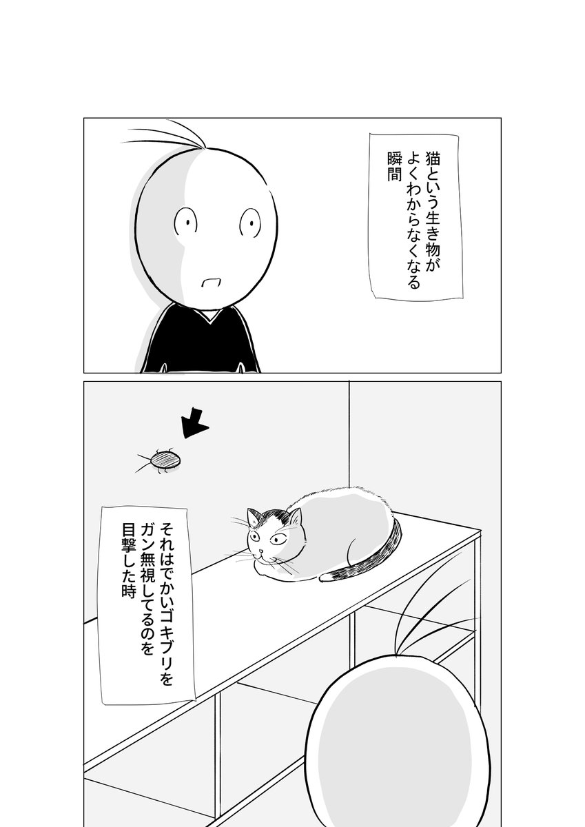 クモとか大はしゃぎするのに 