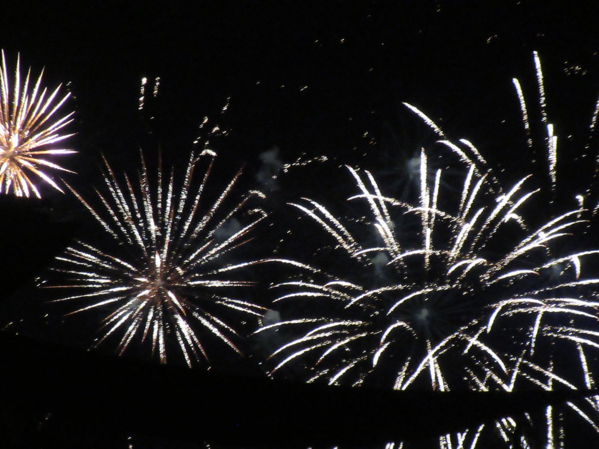 Celine_Poko's tweet photo. Série 3 ~ Feu d’artifice de Talence 🎆 ~ 14.07.2024 🇫🇷 https://t.co/vBIjvOlFWr