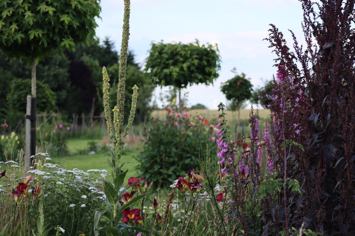 ParadiesMaag's tweet photo. Schönes Wochenende. Grüße aus dem Paradiesgarten! https://t.co/gFx5kag5JW