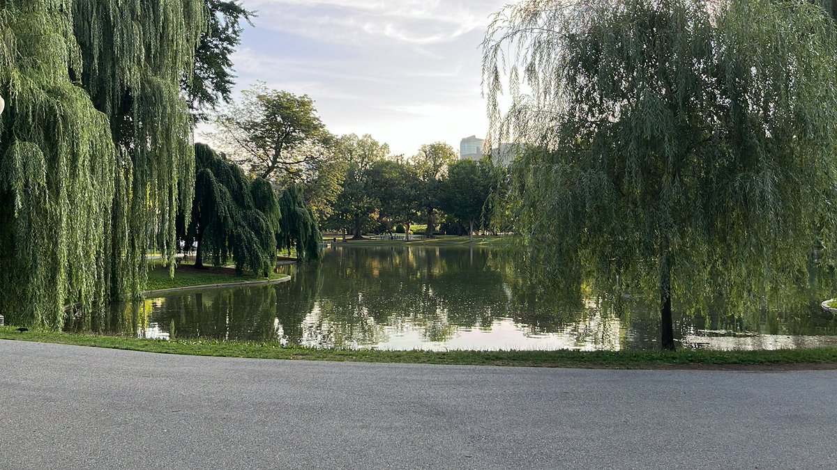 A few minutes of tranquility before the start of the <a href="/AACPharmacy/">AACP</a> teacher seminar for #PharmEd24. It’s a good day to be in Boston