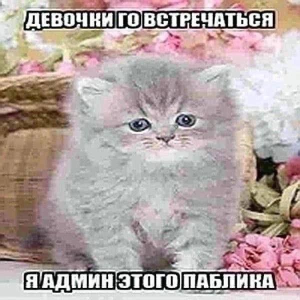 эми но не марч ✿ tweet media