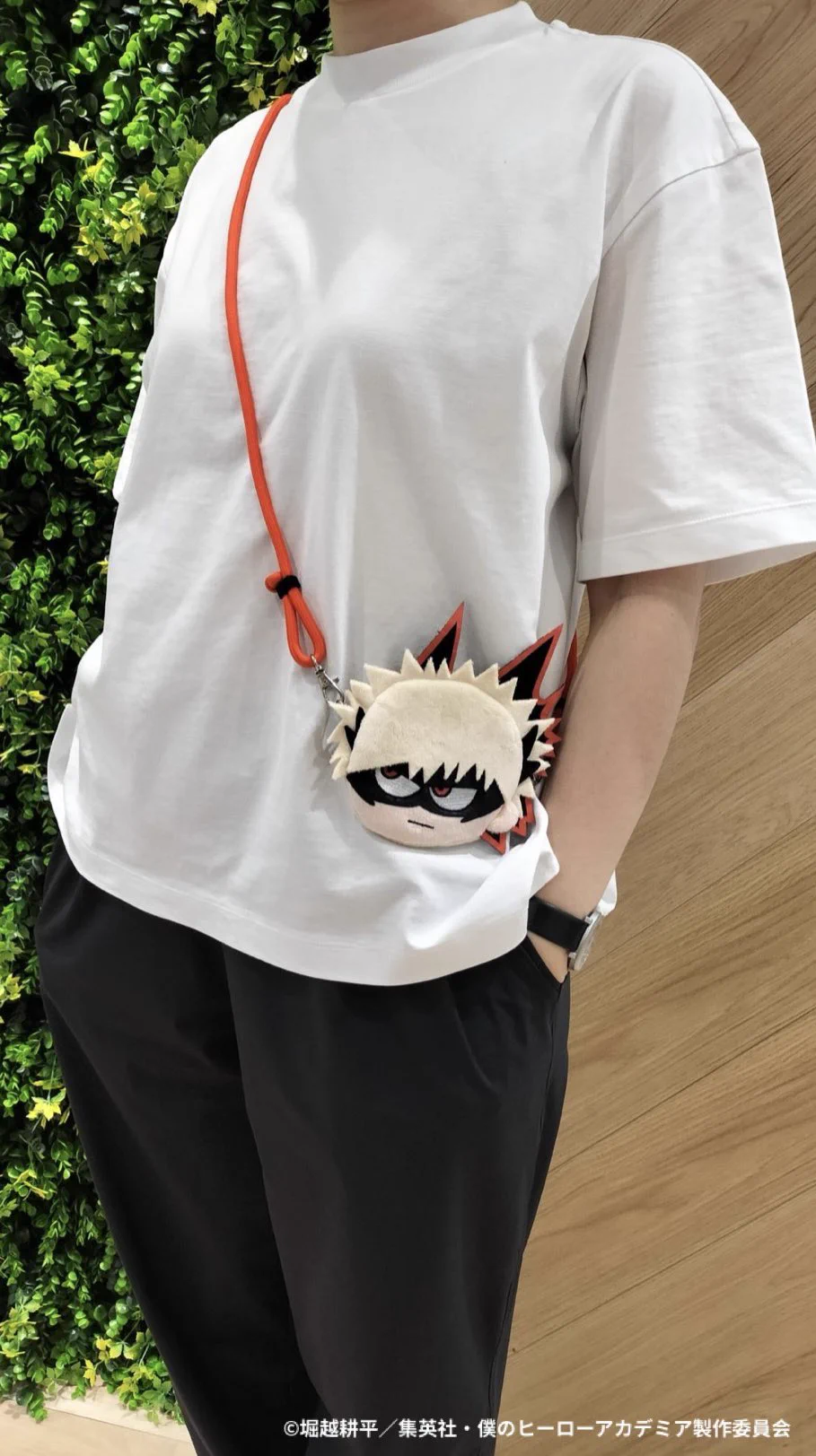 僕のヒーローアカデミア