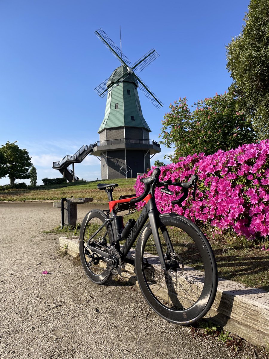 k005FxP5LaVyzXe's tweet image. あたくしの、大事な４台 🚲𓂃 𓈒𓏸

リアクト、ガベル、ターン、ストラウス
ストラウスはタックス専用機になってる

#merida #メリダ #reacto #リアクト #khodaabloom #straussdisc #tern #クレスト #nesto #gavel