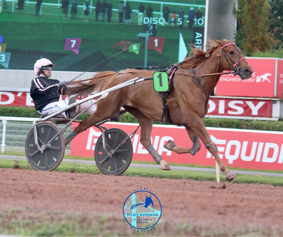 🗓️ SAMEDI 20 JUILLET
📍 Enghien

🐴 811 Jilord Viva (🧤 J.Raffestin)

Le fer de lance de l’écurie est en forme et essaiera de poursuivre sa superbe série !