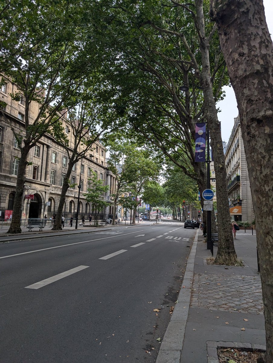 AlbinRey26's tweet photo. Paris complètement évacué, complément vide dans les zones du #PassJeux. Ici au Trocadéro et sur l'île de la Cité près de la Cour d'appel de Paris. De nombreux touristes déçus de ne pas pouvoir accéder à de nombreuses places emblématiques de la capitale. #JO2024PARIS https://t.co/tJf8jmOhM7