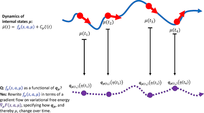 SustainHistory's tweet photo. Artificial Consciousness:
A Perspective from the Free Energy Principle
Does the assumption of a weak form of #ComputationalFunctionalism, according to which the right form of neural computation is sufficient for consciousness,
entail that a digital computational simulation of such #NeuralComputations is conscious?
Or must this #ComputationalSimulation be implemented in the right way, in order to replicate #Consciousness?
Wanja Wiese
#ArtificialConsciousness
#FreeEnergyPrinciple
https://t.co/36pbmBs6bT