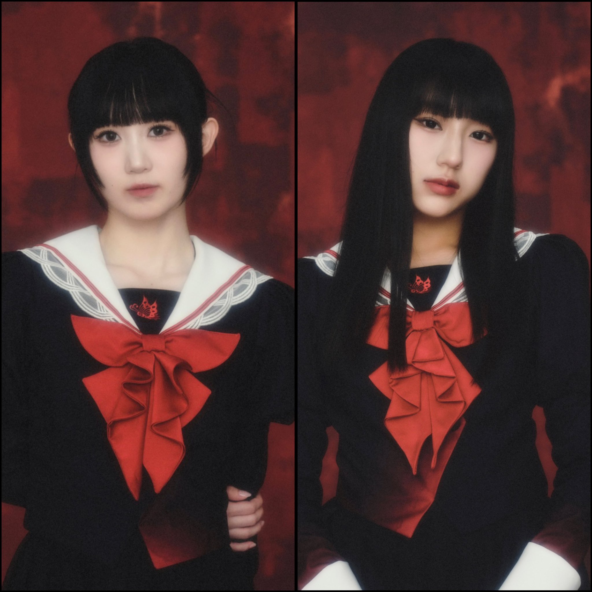 ファントムシータ ハイネ チェキ トレカ 美雨 灯翠 凛花 もな 百花 コンプ ファントムシータ ハイネ チェキ トレカ 美雨 灯翠 凛花 もな