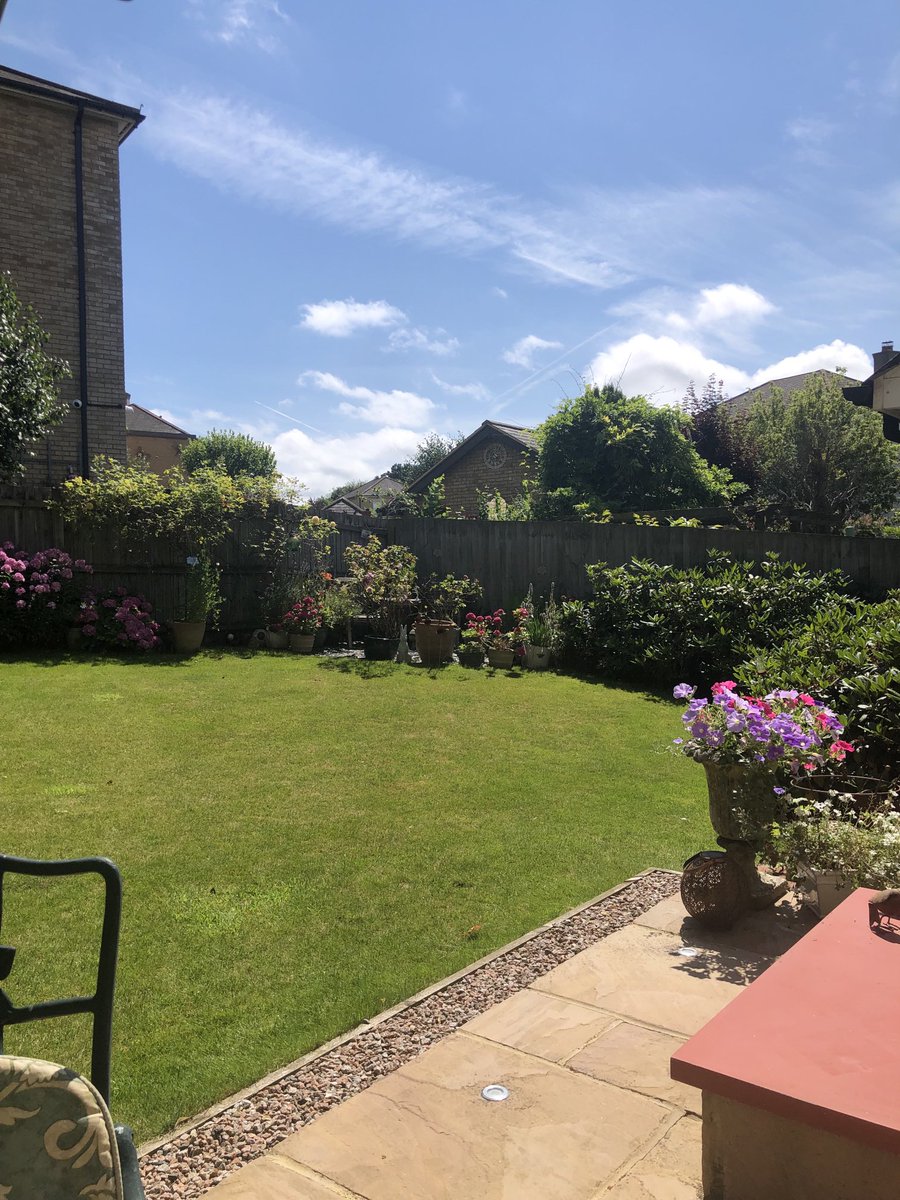 ElBeakster's tweet photo. Love listening to @bbctms in the garden 🪴🏏 #EngWI https://t.co/10BSGpbCov