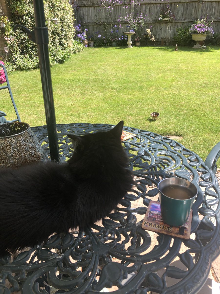 ElBeakster's tweet photo. Love listening to @bbctms in the garden 🪴🏏 #EngWI https://t.co/10BSGpbCov
