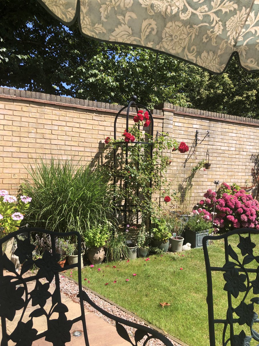 ElBeakster's tweet photo. Love listening to @bbctms in the garden 🪴🏏 #EngWI https://t.co/10BSGpbCov