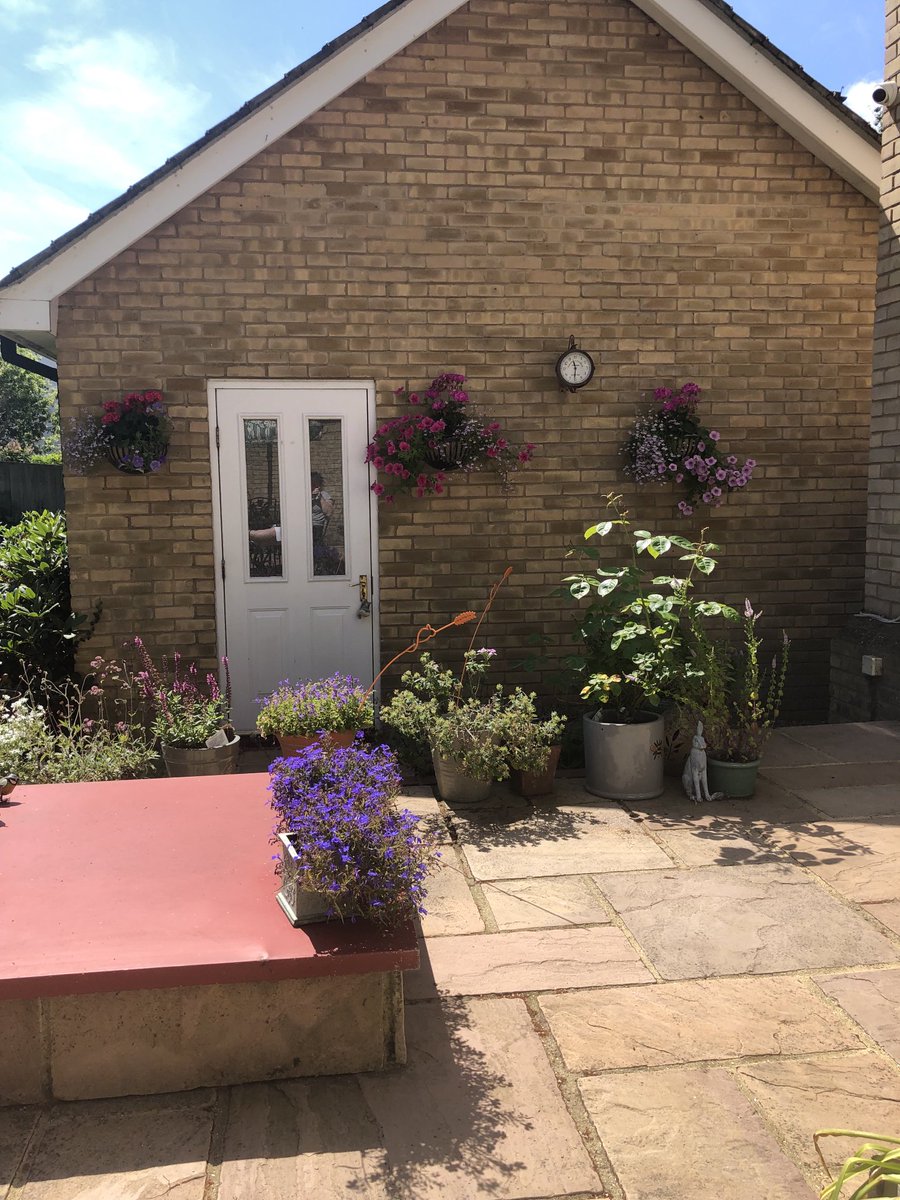 ElBeakster's tweet photo. Love listening to @bbctms in the garden 🪴🏏 #EngWI https://t.co/10BSGpbCov