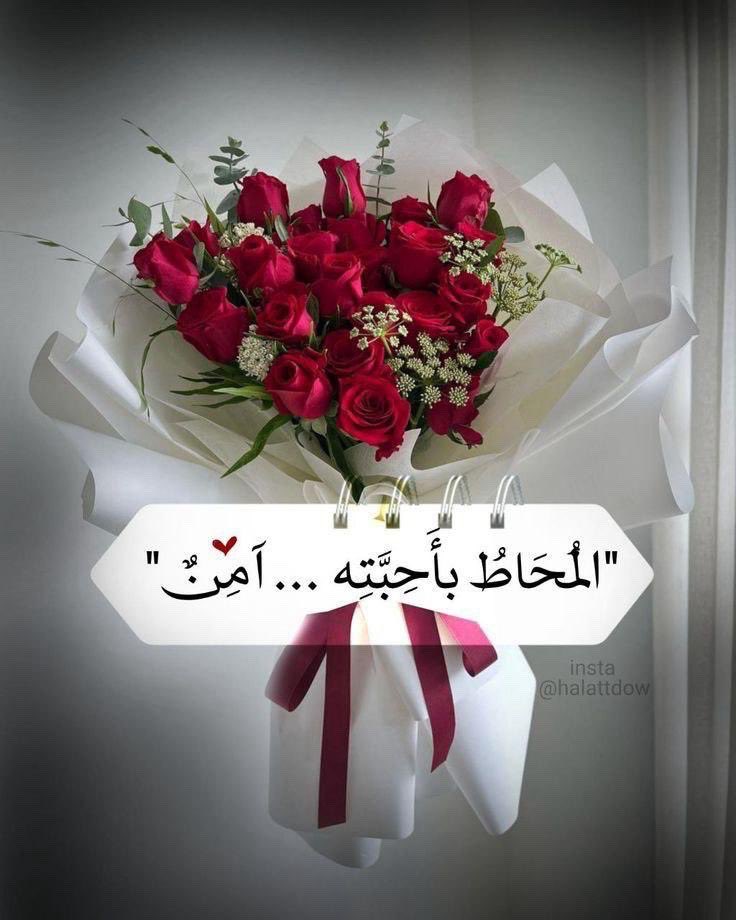 fajer1616's tweet photo. العلاقات لا يجب أن نشعر فيها بالواجب بل بفكرة العطاء ، أن تقول الكلمة اللّطيفة لأنك تحبُّ شعورها الذي سينجلي في قلب غيرك ، أن تساعد ليس لأنك فقط تلبي طلباً بل لأنك تشعر بحاجتك لأن تكون جزءاً من تمكين شخص تحبّه ، العلاقات ليست بالمساومة إنما بطيب الأثر ولطف الود .. https://t.co/Wrkq3jKUKH
