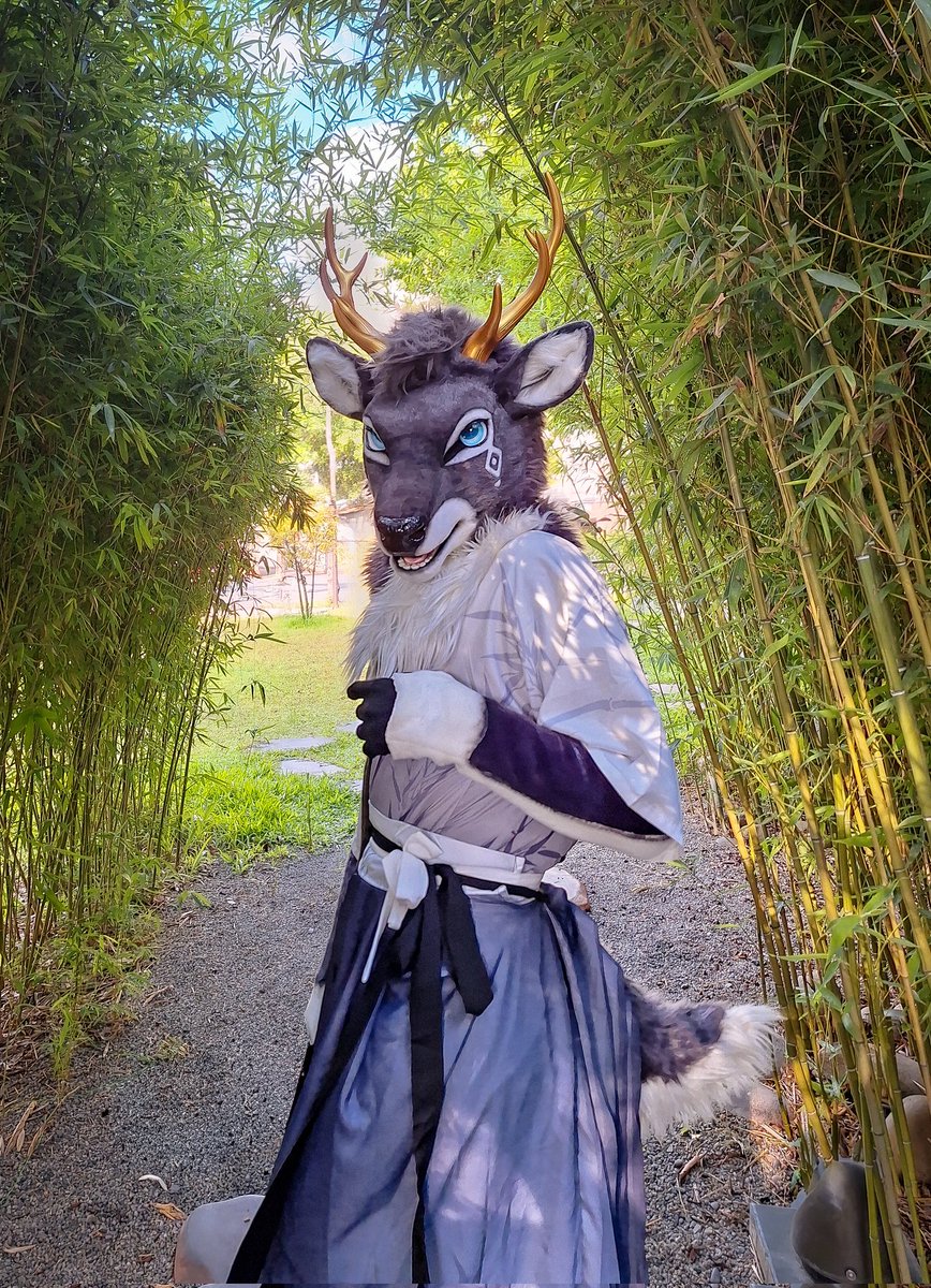今天下午有一隻黑鹿出沒在台中♥️

穿了一套很適合園區風景的服飾，希望下次可以帶著古箏來，就像是從漫畫走出來一樣帥氣 (⁠人⁠*⁠´⁠∀⁠｀⁠)⁠｡⁠*ﾟ⁠+

也很開心可以跟園區的遊客們一起合照，以及謝謝來協助攝影師以及朋友們♥️

📸 阿努比斯