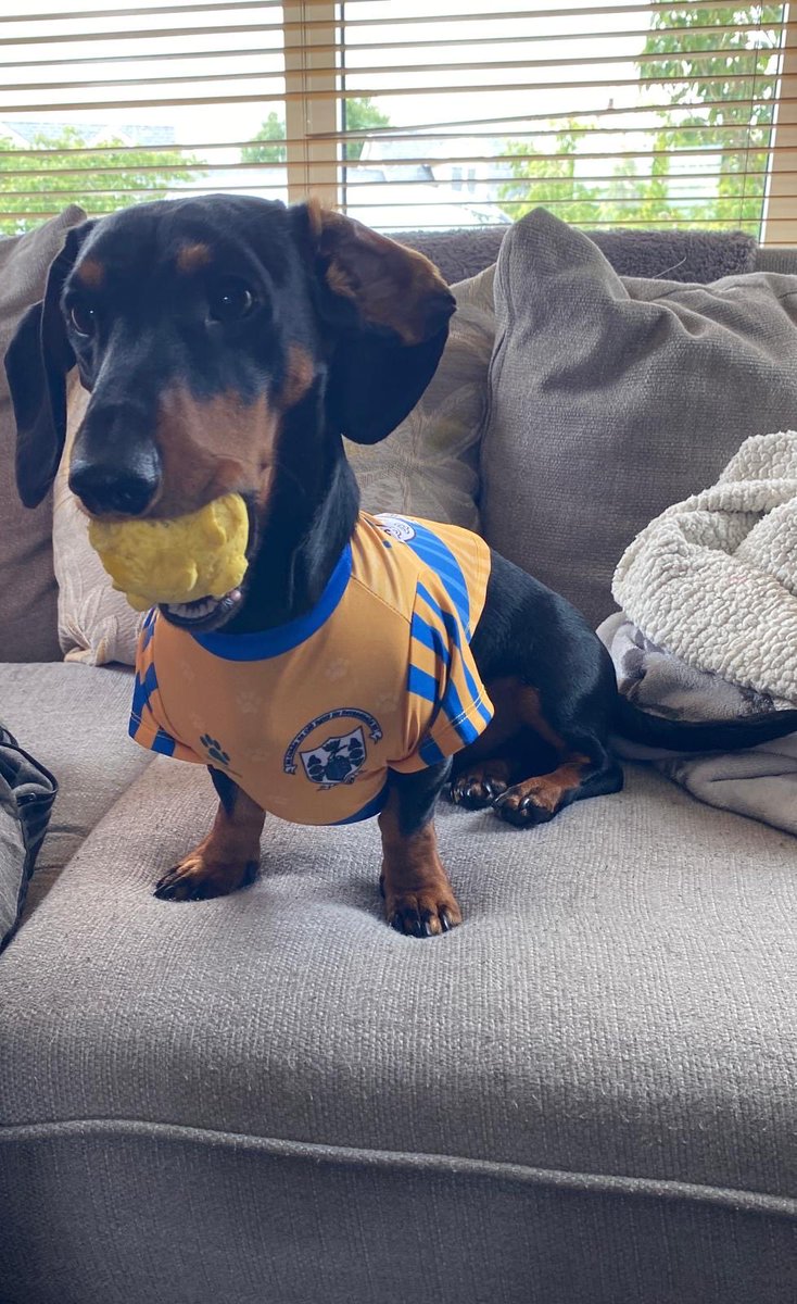 💛💙Up the Banner Ralph wishing the Clare the best of Luck 👊