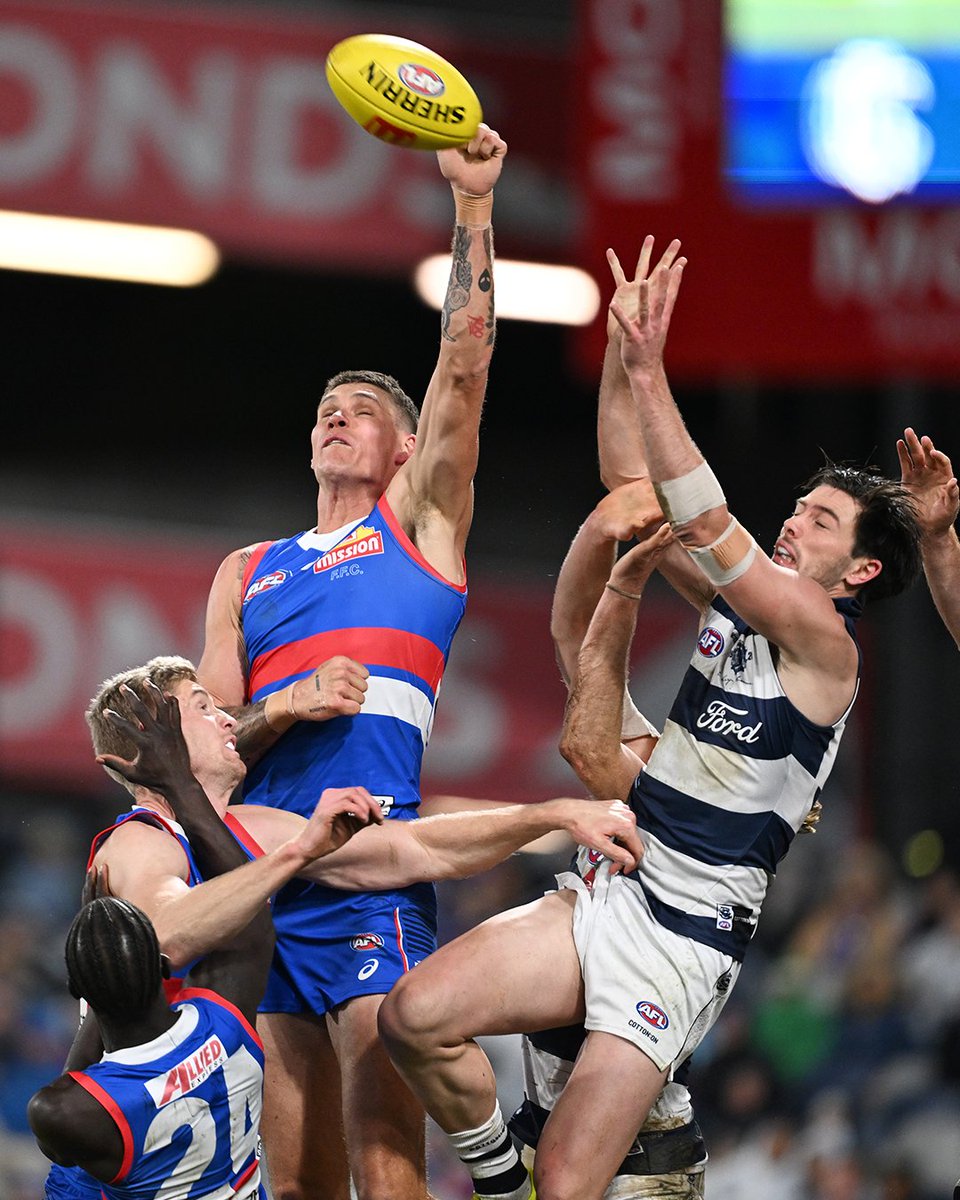 Western Bulldogs tweet media